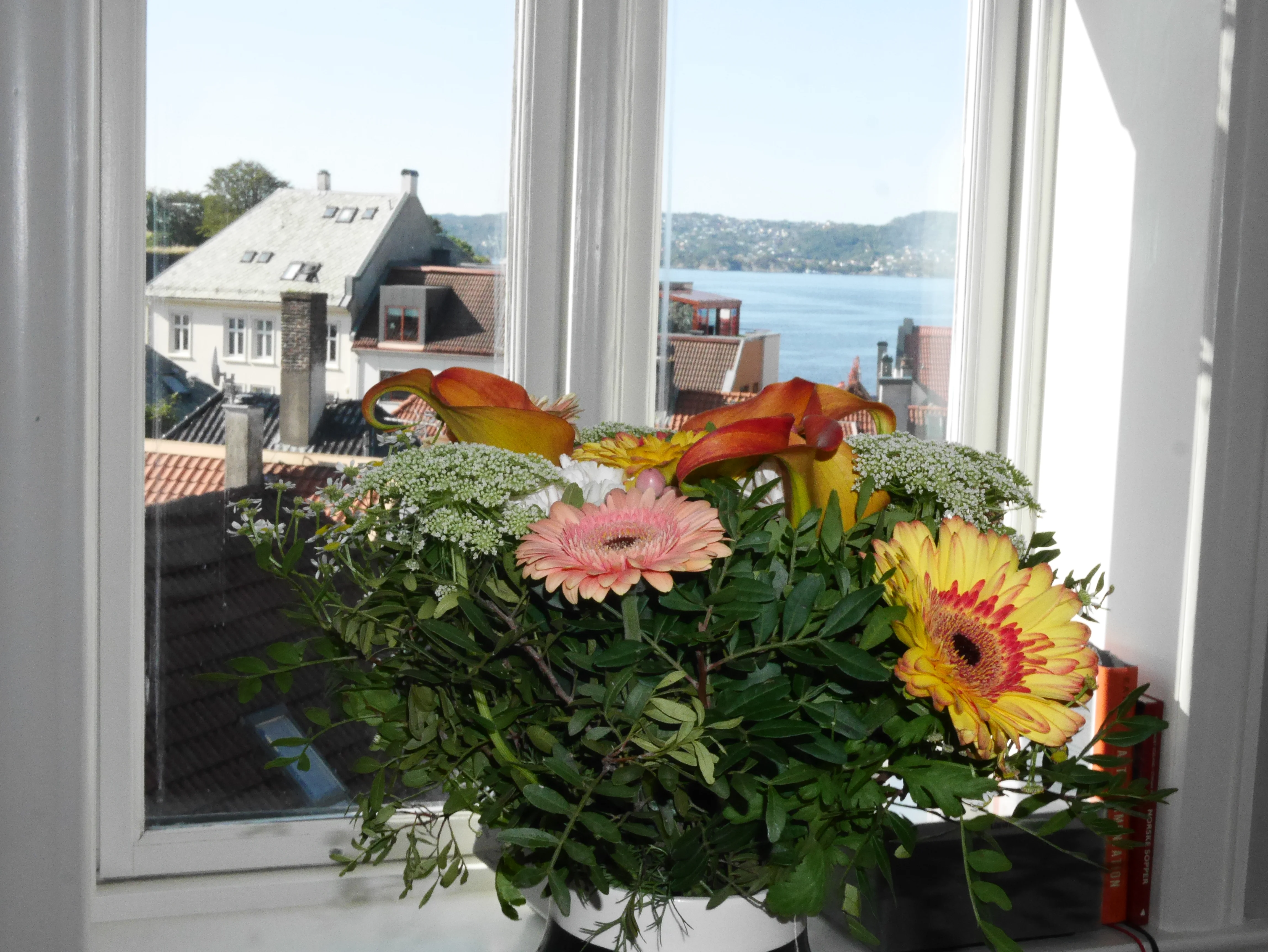 From the city of Bergen